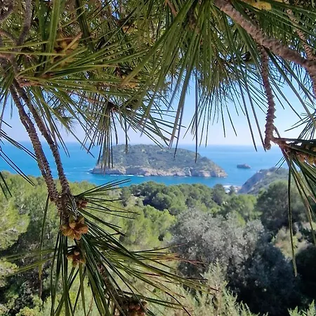 Appartamento Arenal Jávea